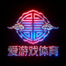 爱游戏体育官方标志 - 赛博国潮风格品牌图标